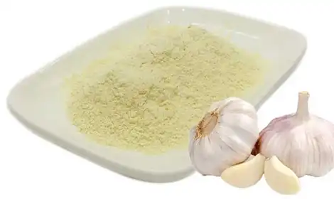 What is Garlic Extract Powder?